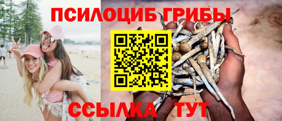 Арсеньев  Псилоцибиновые грибы GOLDEN TEACHER  Вход с VPN 