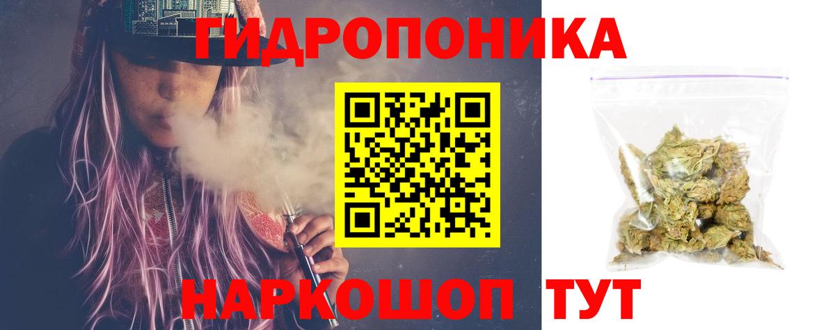 Канабис планчик  Вход с VPN  Конопля OG Kush  Арсеньев  Бошки марихуана конопля 